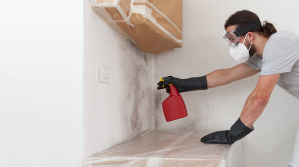 Professional Bathroom Mold Removal technician working in Marion, NC