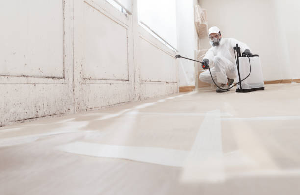 24/7 Emergency Bathroom Mold Removal experts in Marion, NC