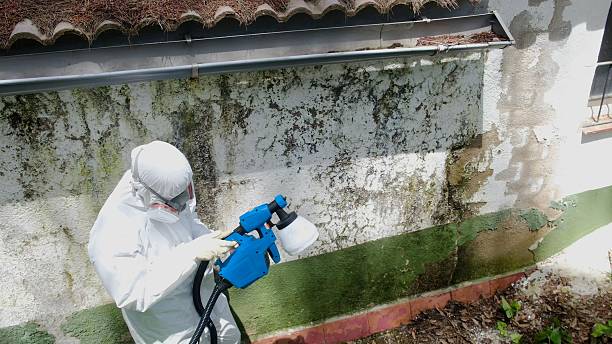 Top rated local Bathroom Mold Removal specialists in Marion, NC